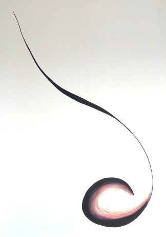 Singularnost